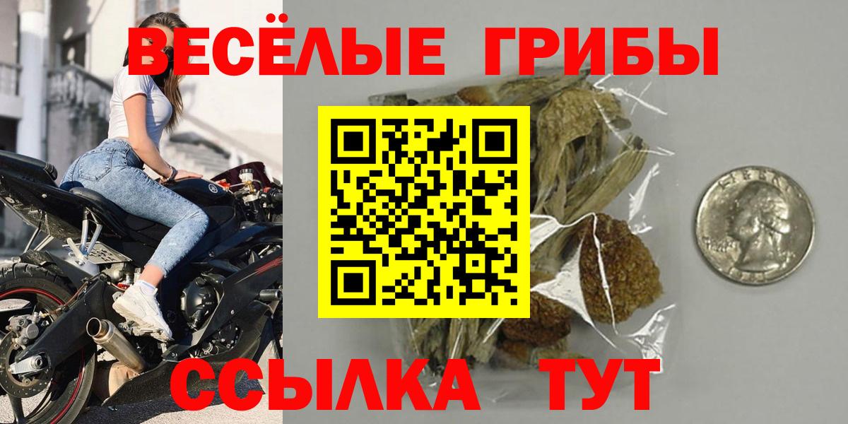 Долгопрудный  как найти закладки  Галлюциногенные грибы Cubensis  Вход с VPN  Псилоцибиновые грибы ЛСД 